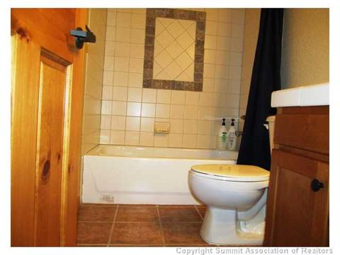 104 Range View Cir, Silverthorne, CO 80498 photo 15