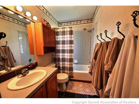 643 Alpine Rd, Dillon, CO 80435 photo 17