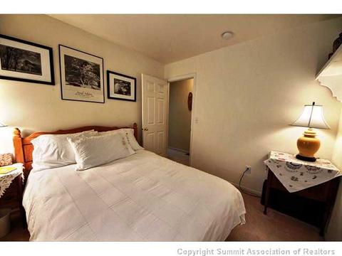 643 Alpine Rd, Dillon, CO 80435 photo 13