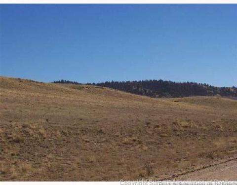 14810 Elkhorn Rd, Como, CO 80432 photo 3