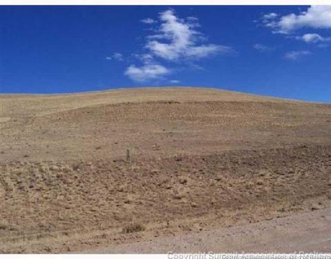 14810 Elkhorn Rd, Como, CO 80432 photo 2