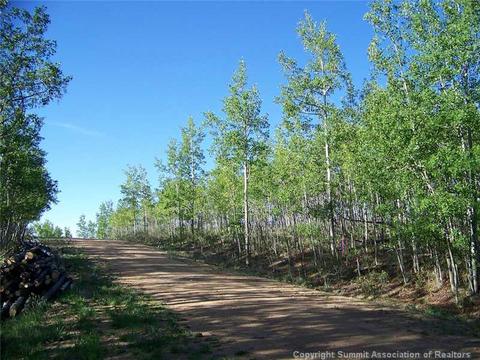 95 Grebe Ln, Como, CO 80432 photo 1