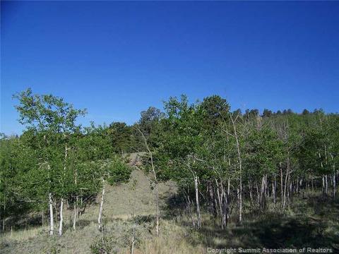 95 Grebe Ln, Como, CO 80432 photo 4