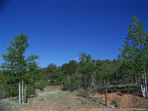 95 Grebe Ln, Como, CO 80432 photo 2