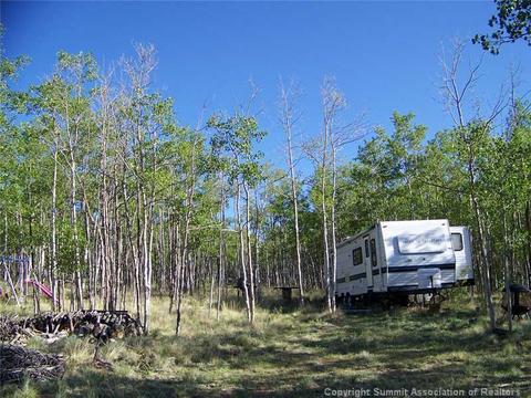 95 Grebe Ln, Como, CO 80432 photo 9