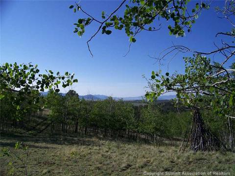 95 Grebe Ln, Como, CO 80432 photo 11