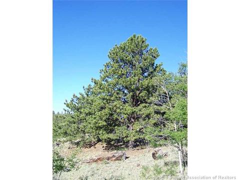95 Grebe Ln, Como, CO 80432 photo 6