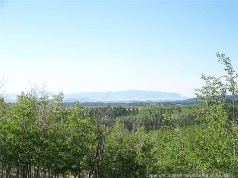95 Grebe Ln, Como, CO 80432 photo 13