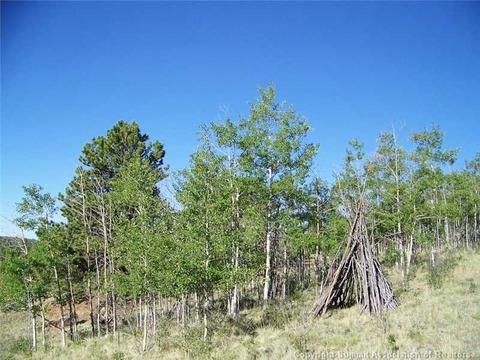 95 Grebe Ln, Como, CO 80432 photo 8