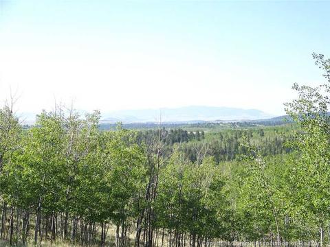 95 Grebe Ln, Como, CO 80432 photo 12