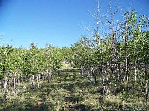 95 Grebe Ln, Como, CO 80432 photo 5