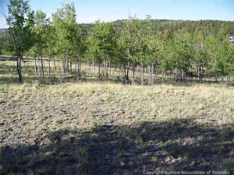 95 Grebe Ln, Como, CO 80432 photo 3