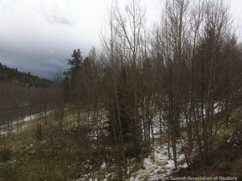 981 Ouray Trl, Como, CO 80432 photo 2