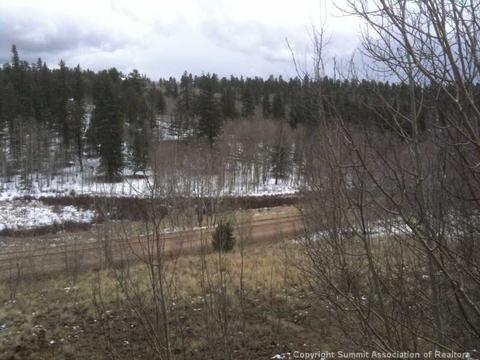 981 Ouray Trl, Como, CO 80432 photo 3