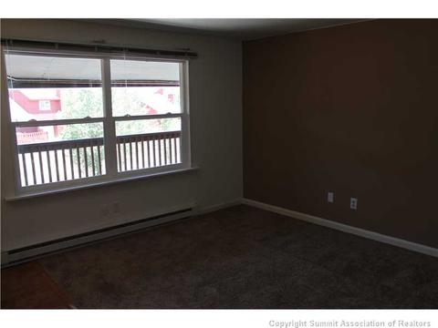 396 Cove Blvd #28, Dillon, CO 80435 photo 3