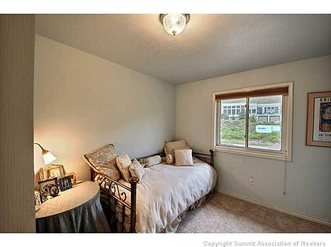 293 Hillside Dr, Silverthorne, CO 80498 photo 19