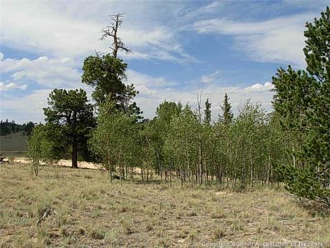 42 Smith Wesson Rd, Como, CO 80432 photo 7