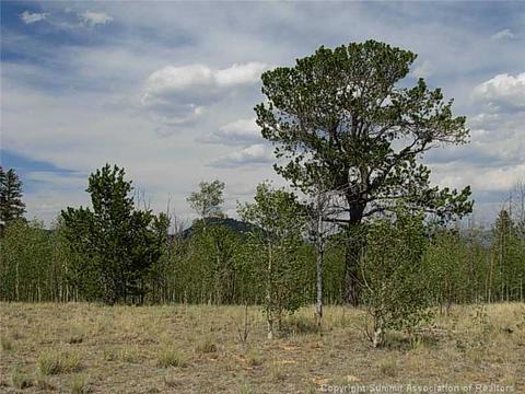 42 Smith Wesson Rd, Como, CO 80432 photo 6