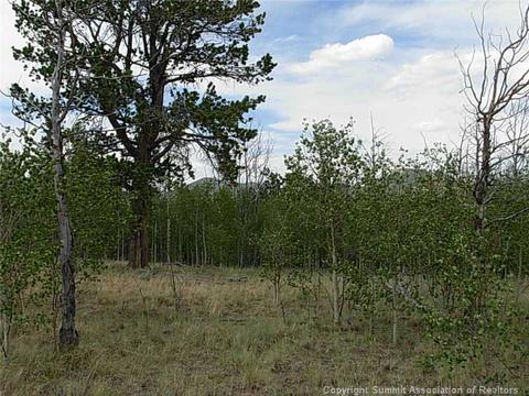42 Smith Wesson Rd, Como, CO 80432 photo 2
