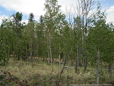42 Smith Wesson Rd, Como, CO 80432 photo 10