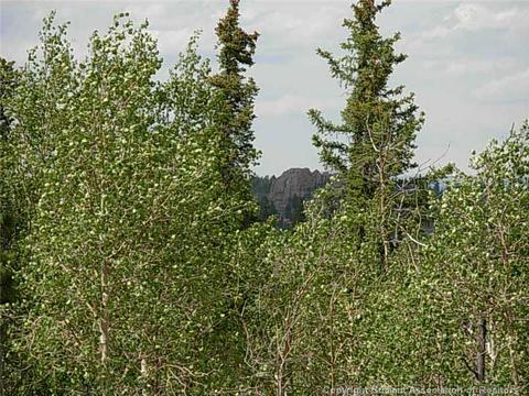 42 Smith Wesson Rd, Como, CO 80432 photo 5