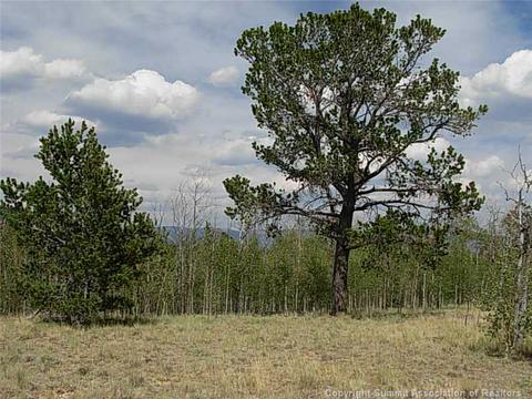 42 Smith Wesson Rd, Como, CO 80432 photo 3