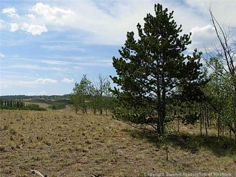 42 Smith Wesson Rd, Como, CO 80432 photo 8