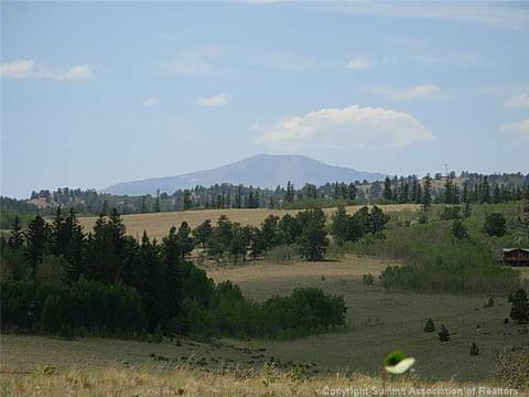 42 Smith Wesson Rd, Como, CO 80432 photo 4