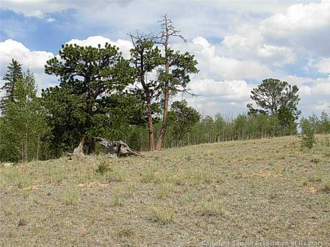 42 Smith Wesson Rd, Como, CO 80432 photo 12