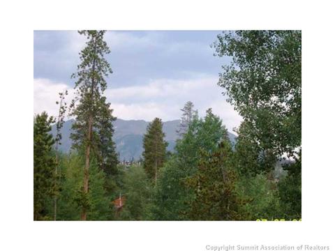 82 Poplar Cir, Silverthorne, CO 80498 photo 8