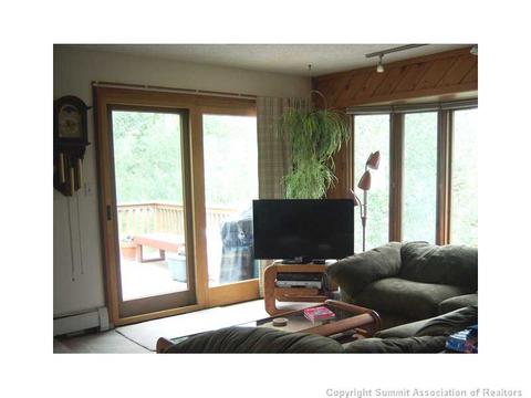82 Poplar Cir, Silverthorne, CO 80498 photo 3
