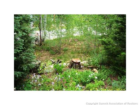 82 Poplar Cir, Silverthorne, CO 80498 photo 7