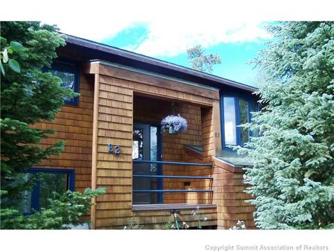 82 Poplar Cir, Silverthorne, CO 80498 photo 1