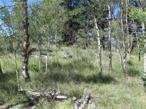 63 Whip Poor Will Way, Como, CO 80432 photo 1