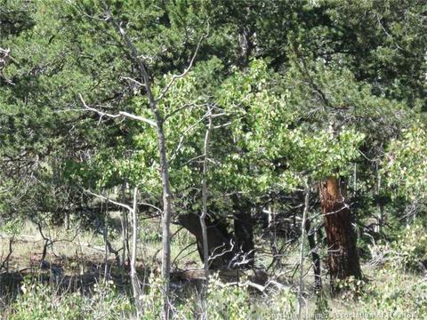 63 Whip Poor Will Way, Como, CO 80432 photo 5