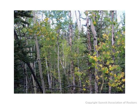 1005 Piaute Way, Como, CO 80432 photo 1