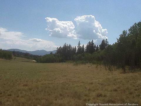 2799 Warrior Cir, Como, CO 80432 photo 2