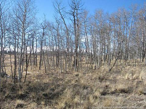 2799 Warrior Cir, Como, CO 80432 photo 6