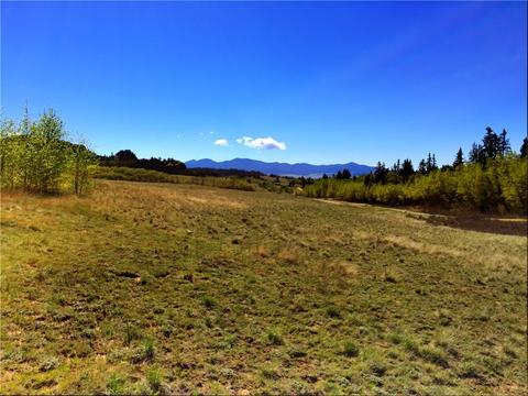 2799 Warrior Cir, Como, CO 80432 photo 3