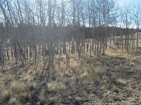 2799 Warrior Cir, Como, CO 80432 photo 5