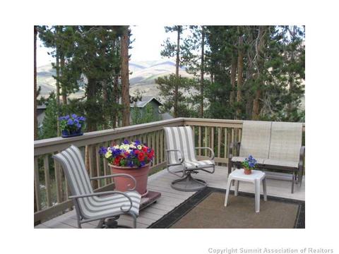 336 Black Hawk Cir, Silverthorne, CO 80498 photo 6