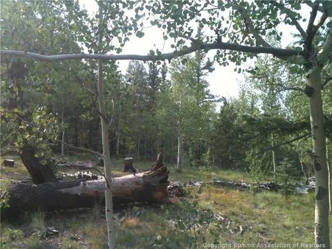 649 Quiver Rd, Como, CO 80432 photo 2
