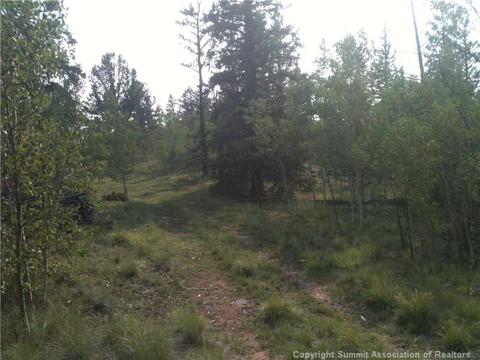 649 Quiver Rd, Como, CO 80432 photo 3