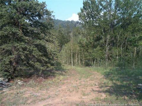 649 Quiver Rd, Como, CO 80432 photo 4