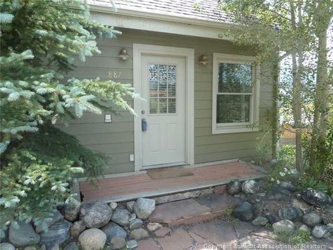 887 Idlewild Dr, Dillon, CO 80435 photo 18
