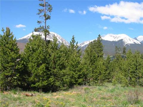 56 L Rd, Silverthorne, CO 80498 photo 4