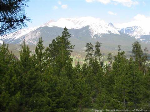 56 L Rd, Silverthorne, CO 80498 photo 3