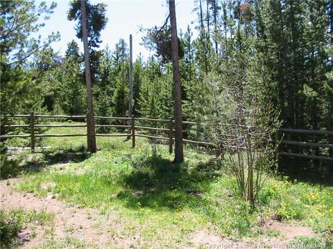 56 L Rd, Silverthorne, CO 80498 photo 19