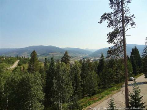 3902 Silverheels Dr #3902, Silverthorne, CO 80498 photo 3