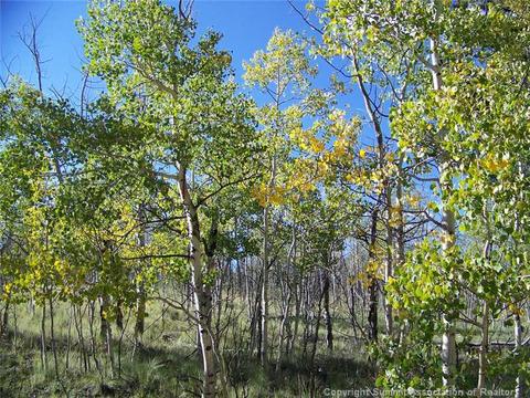 2932 Warrior Cir, Como, CO 80432 photo 6